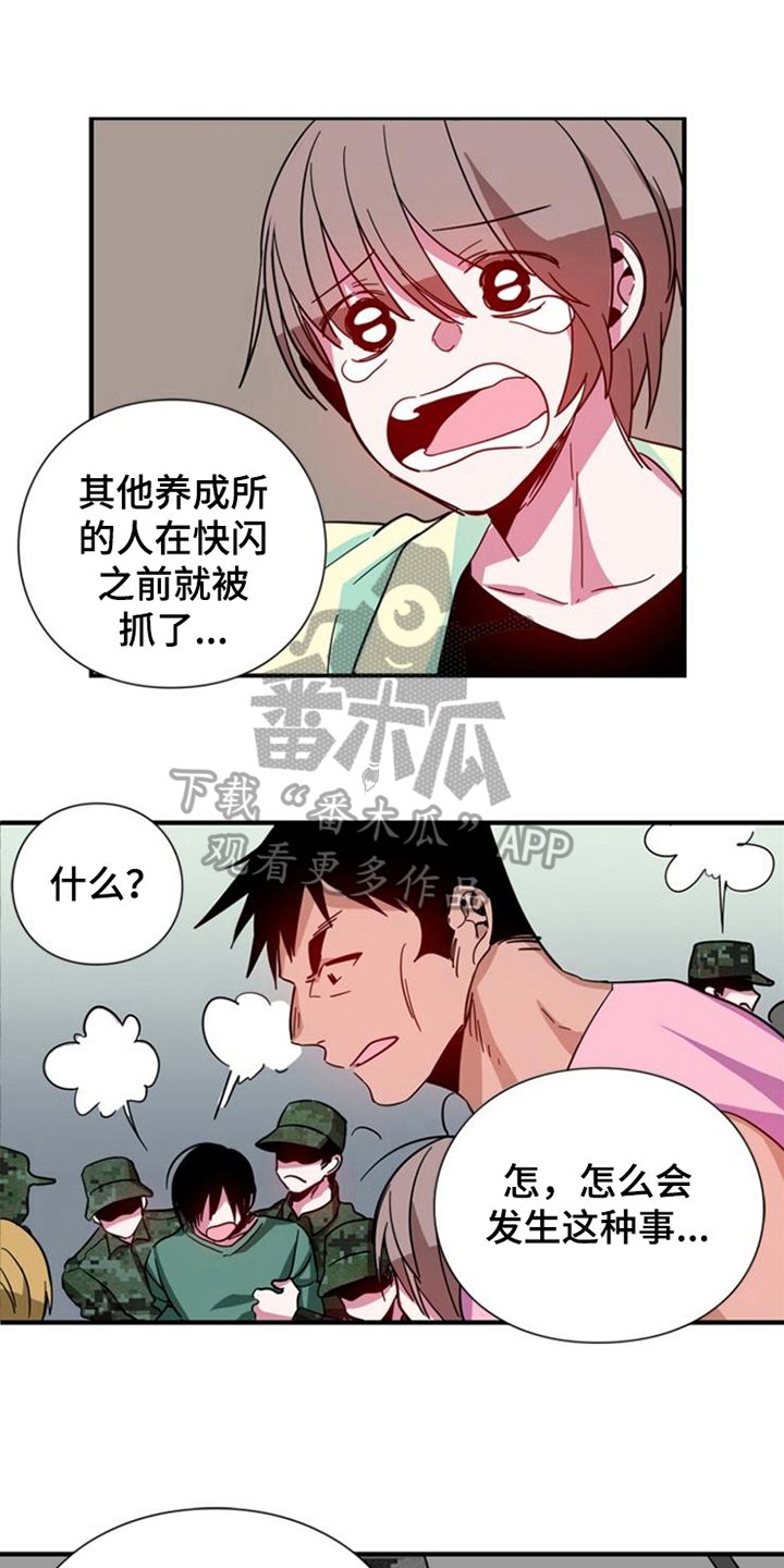 第21章：条件