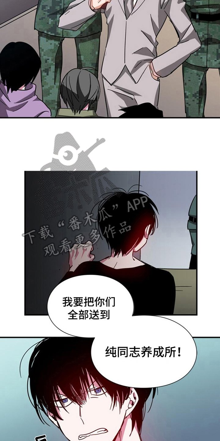 第21章：条件