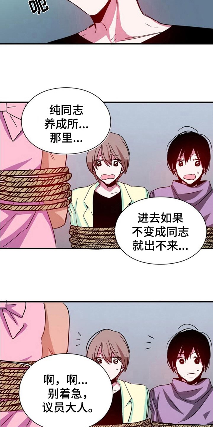 第21章：条件