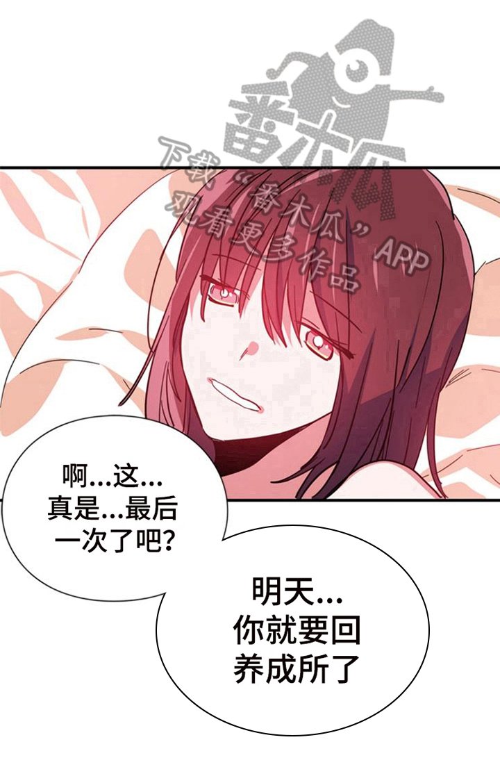 第21章：条件