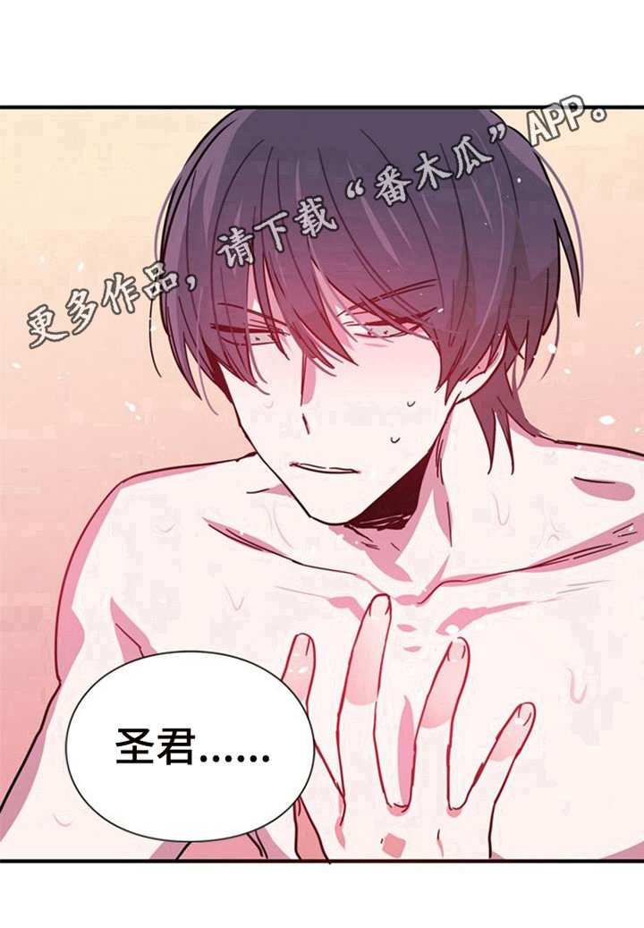 第21章：条件