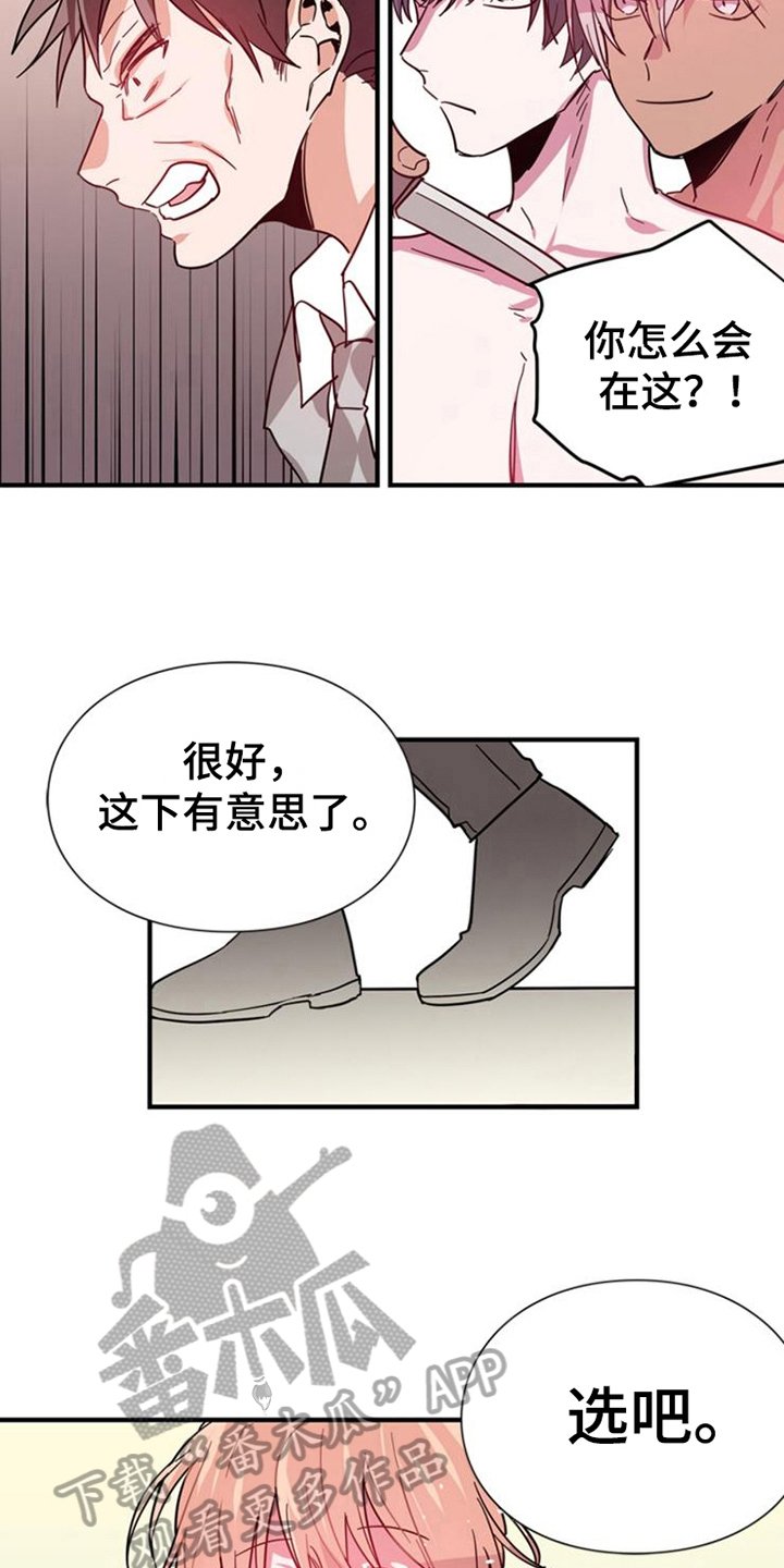 第23章：选择