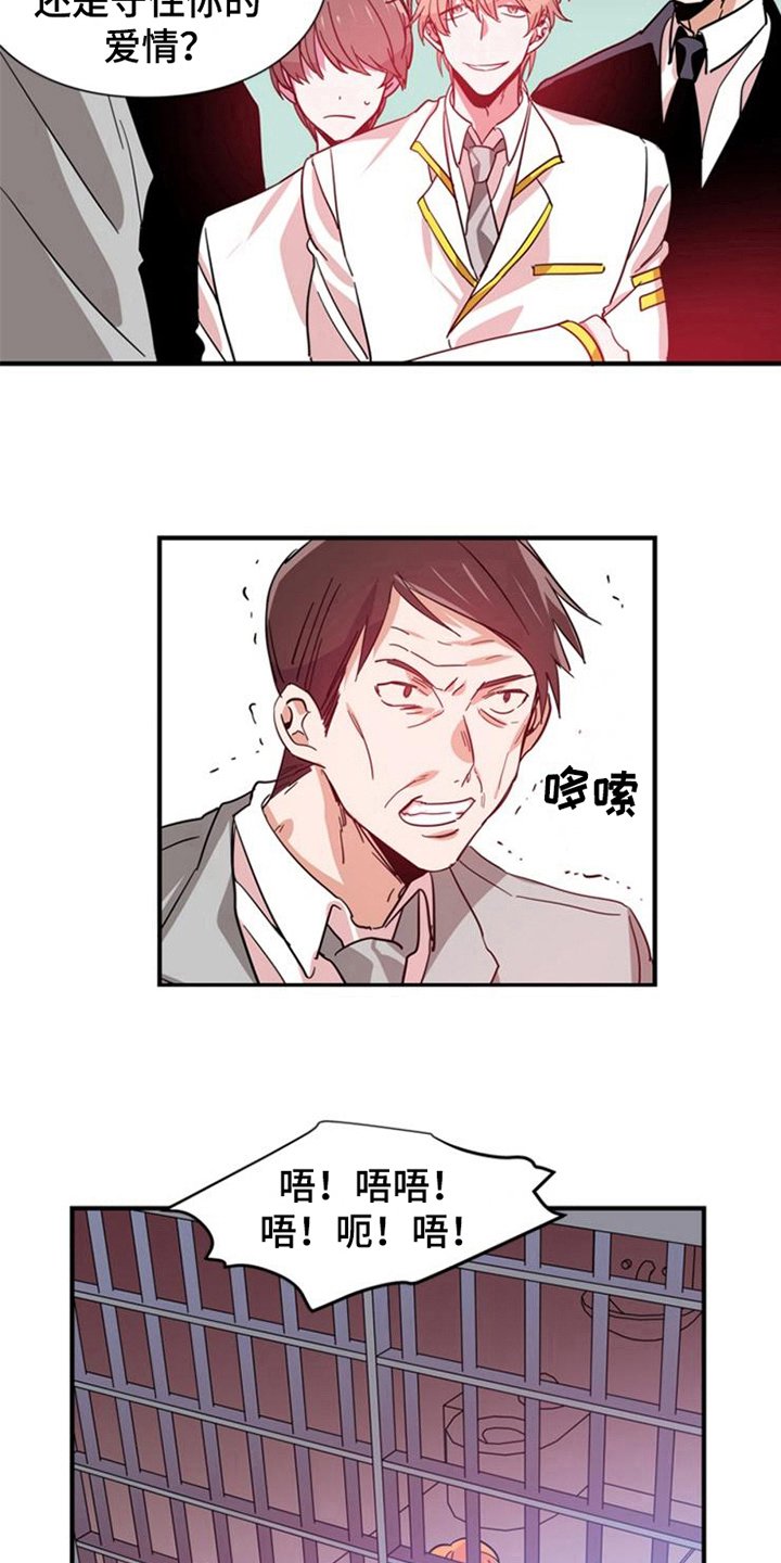 第23章：选择
