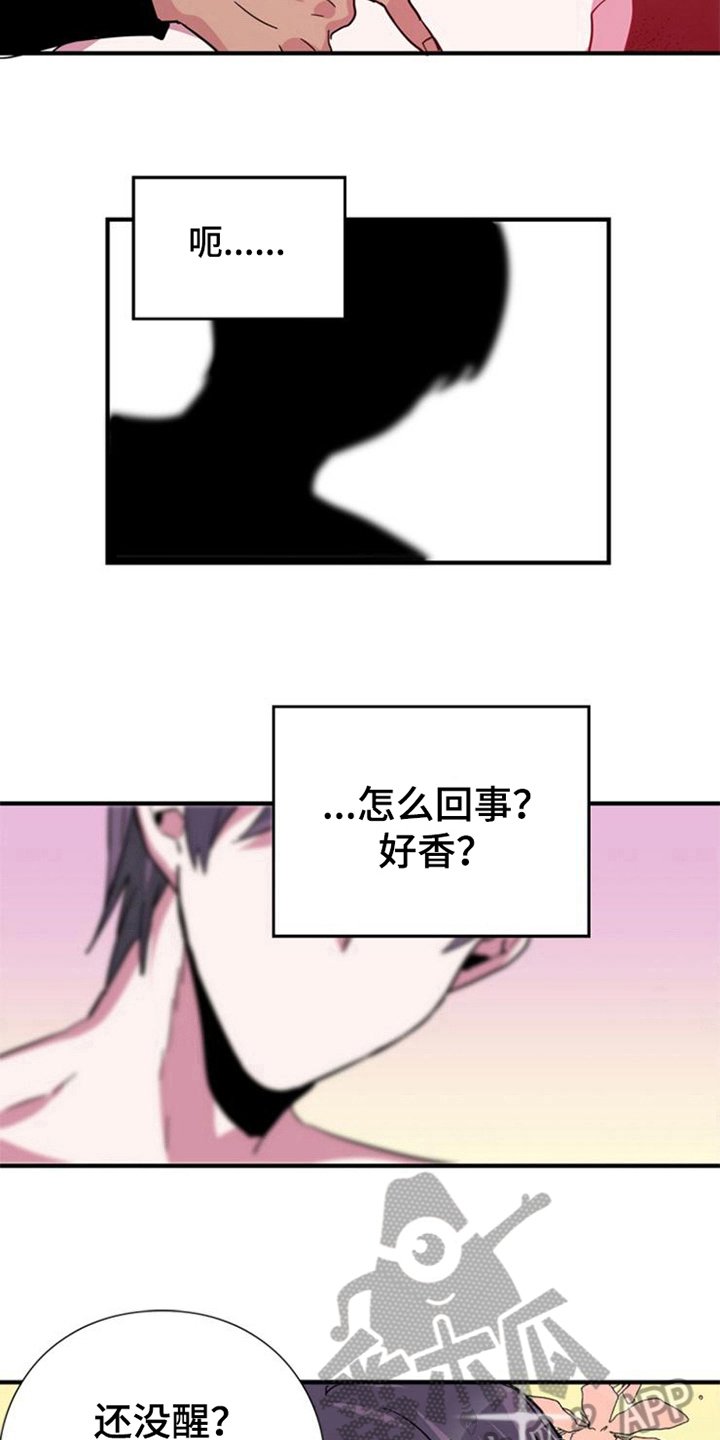 第23章：选择