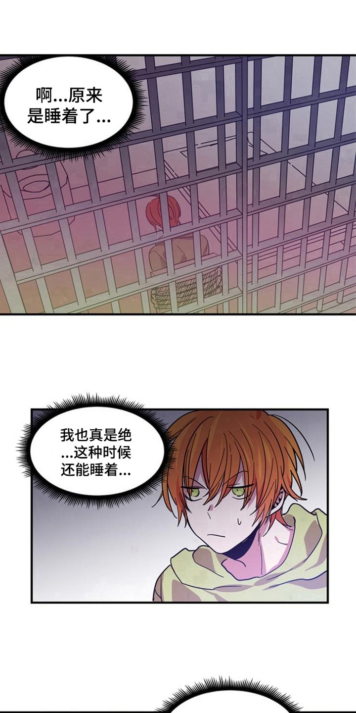 第23章：选择