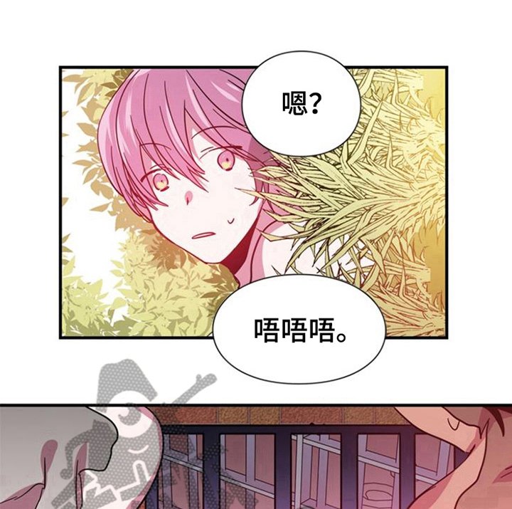 第24章：决定