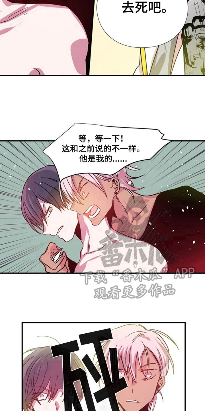 第24章：决定