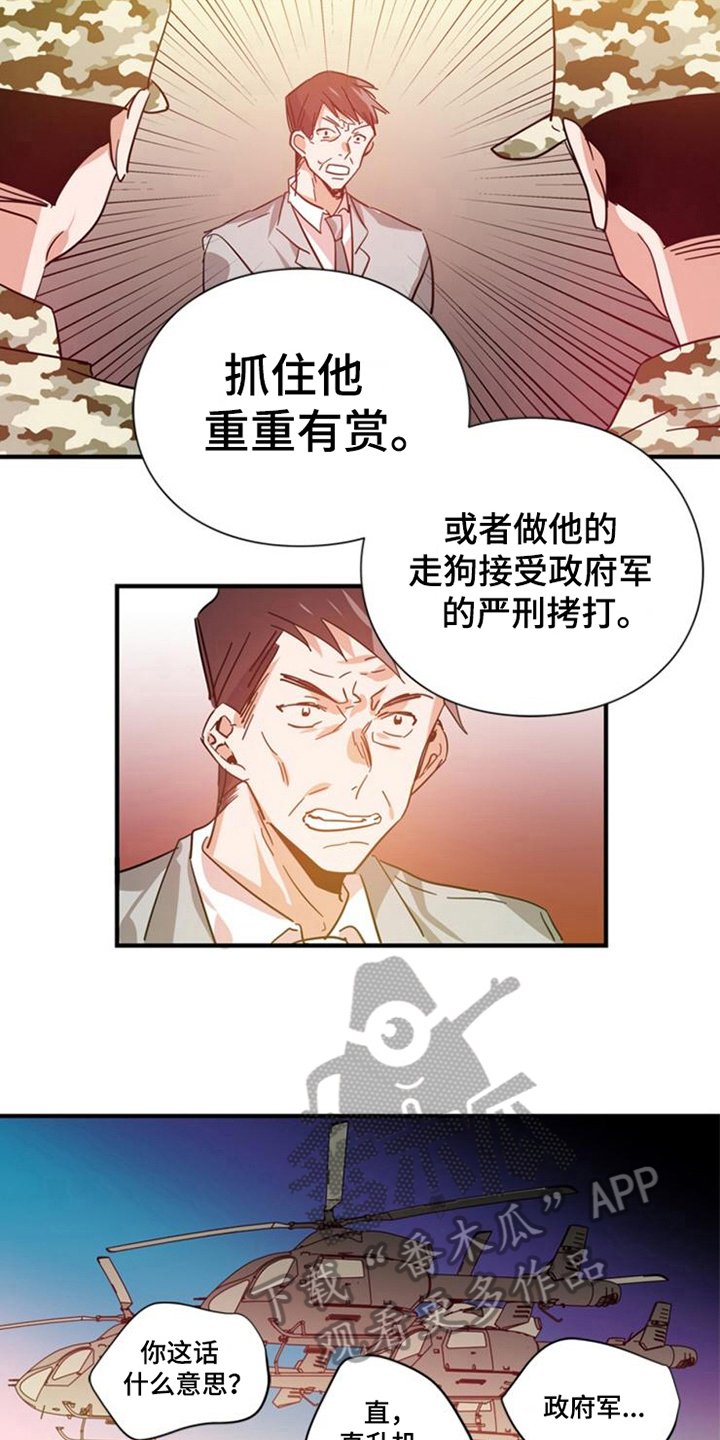 第26章：赢家