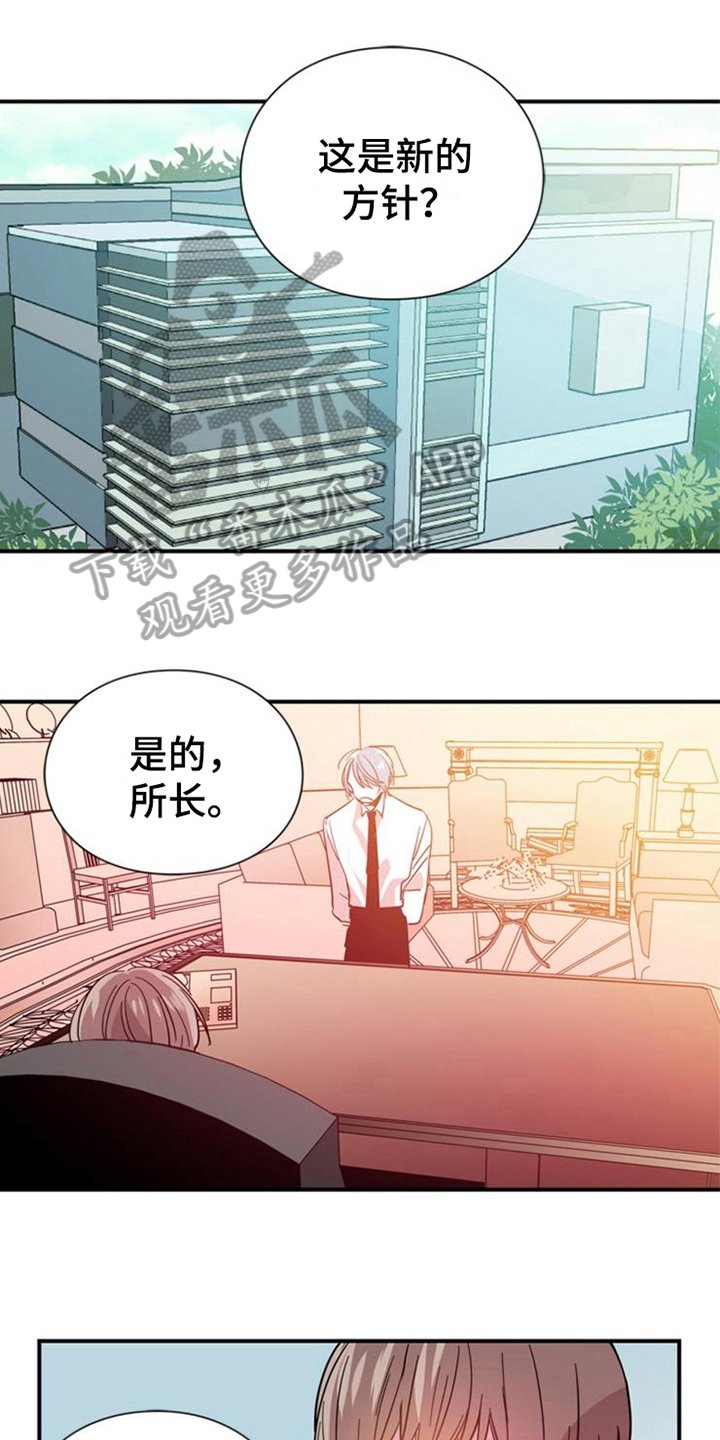 第28章：真心的力量【完结】