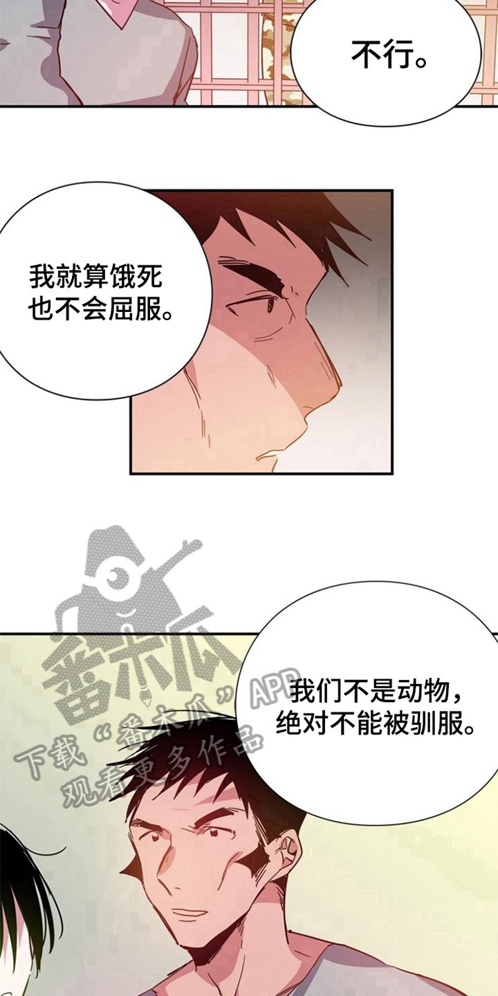 第28章：真心的力量【完结】