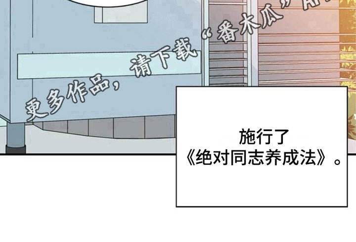 第28章：真心的力量【完结】