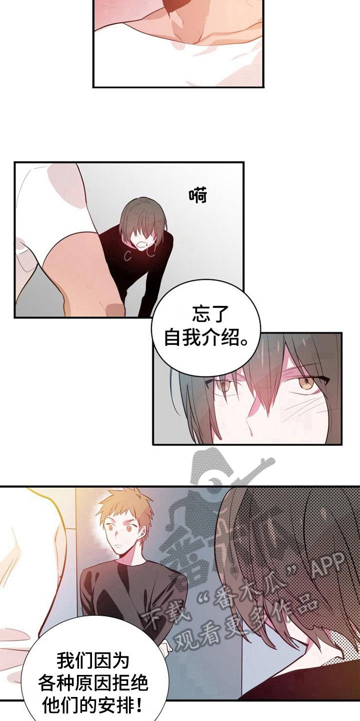第4章：帮派