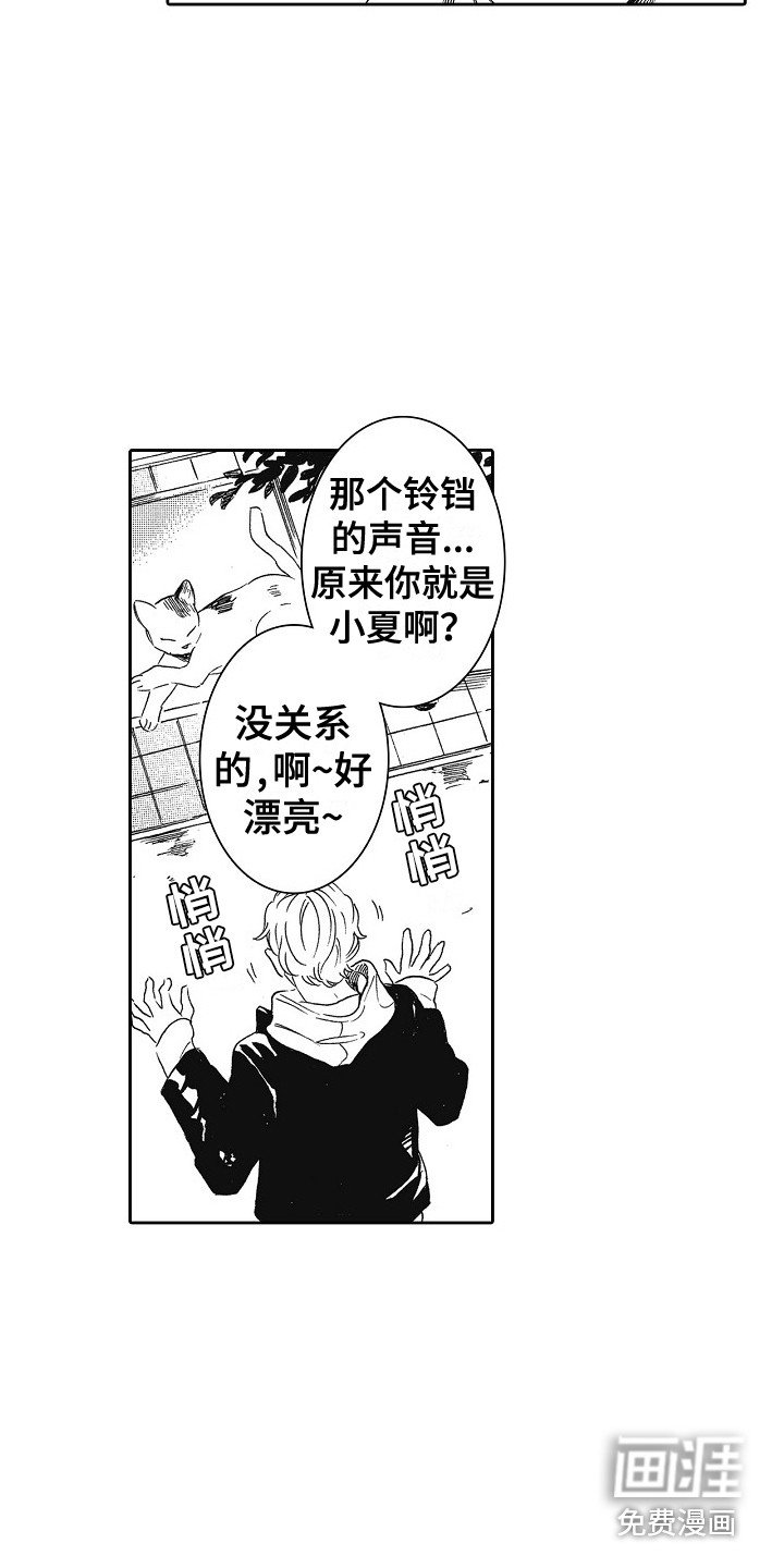 第17章：特权