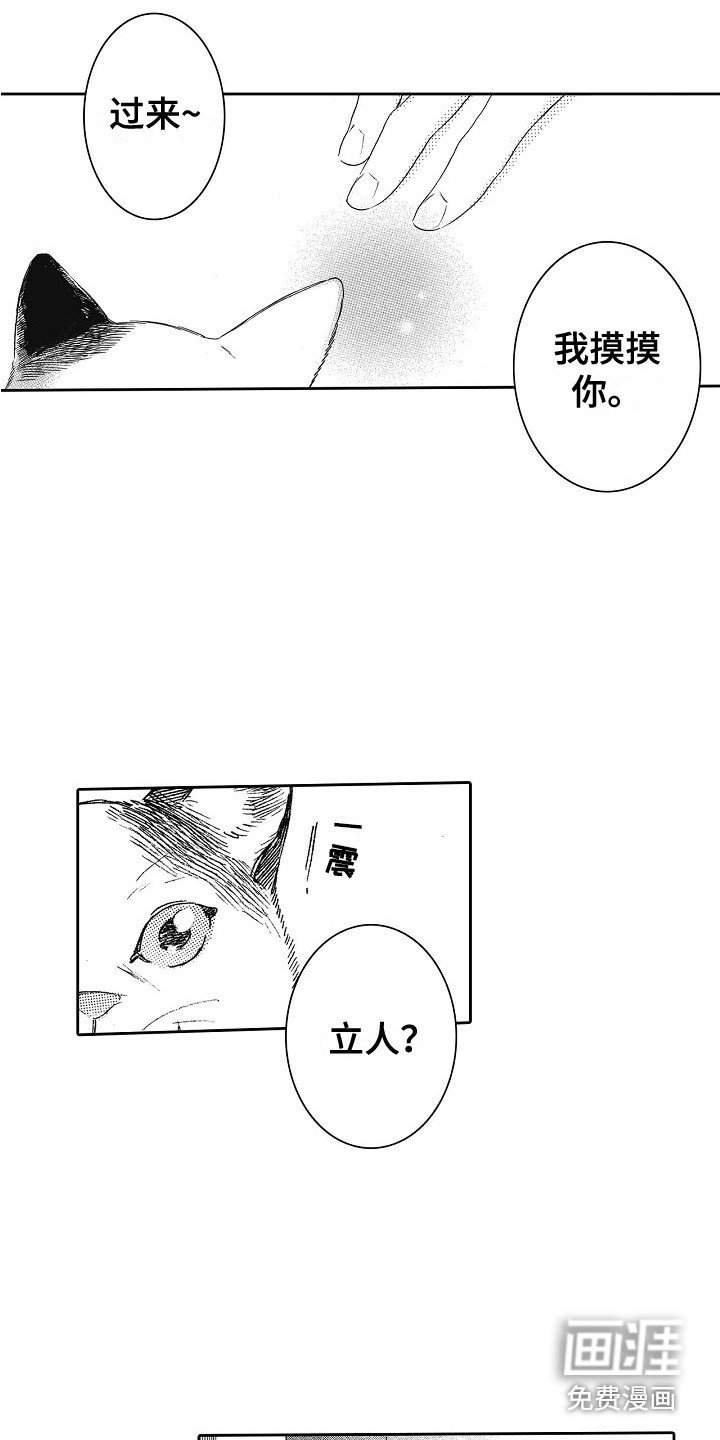 第17章：特权
