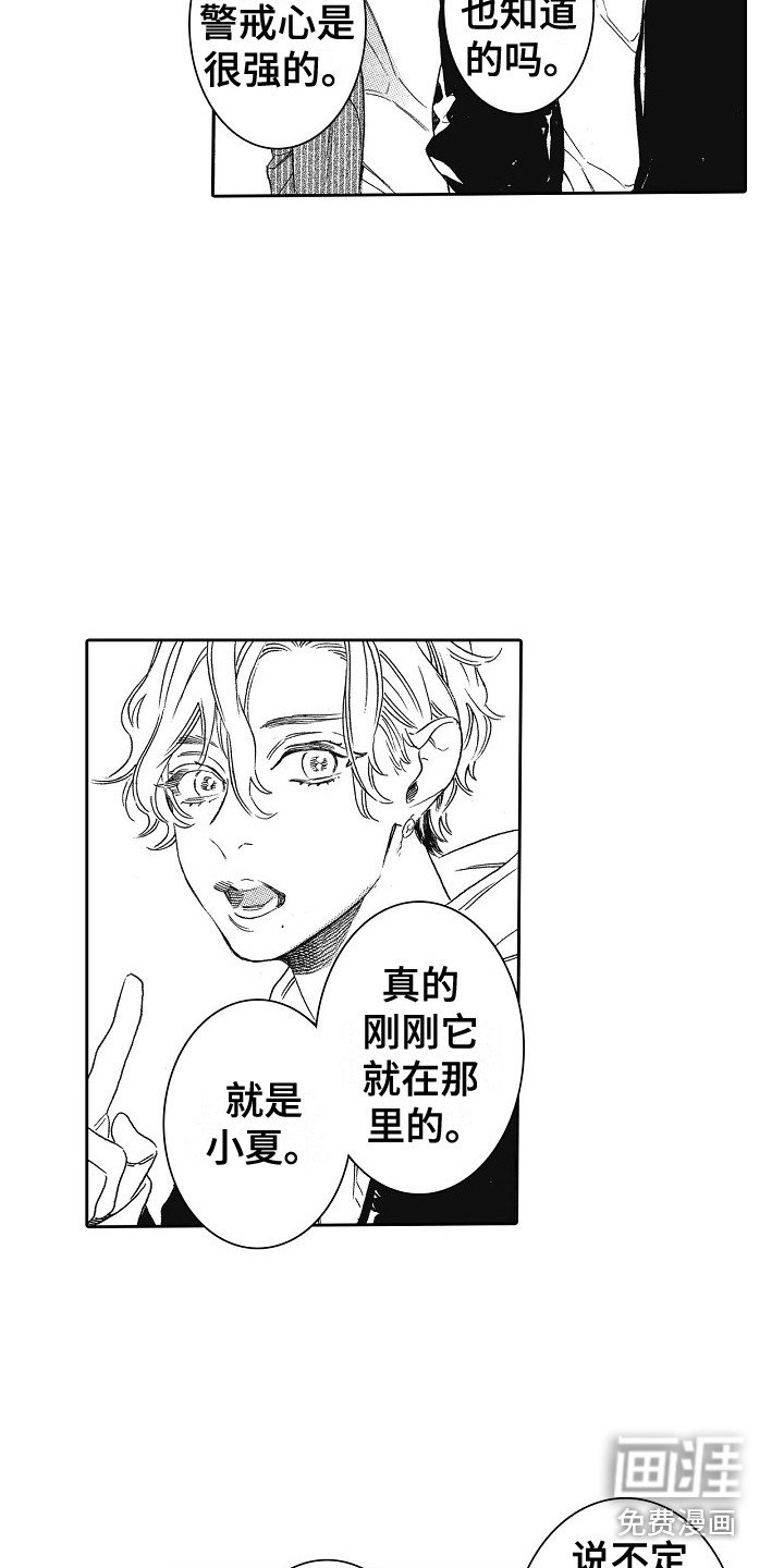 第17章：特权