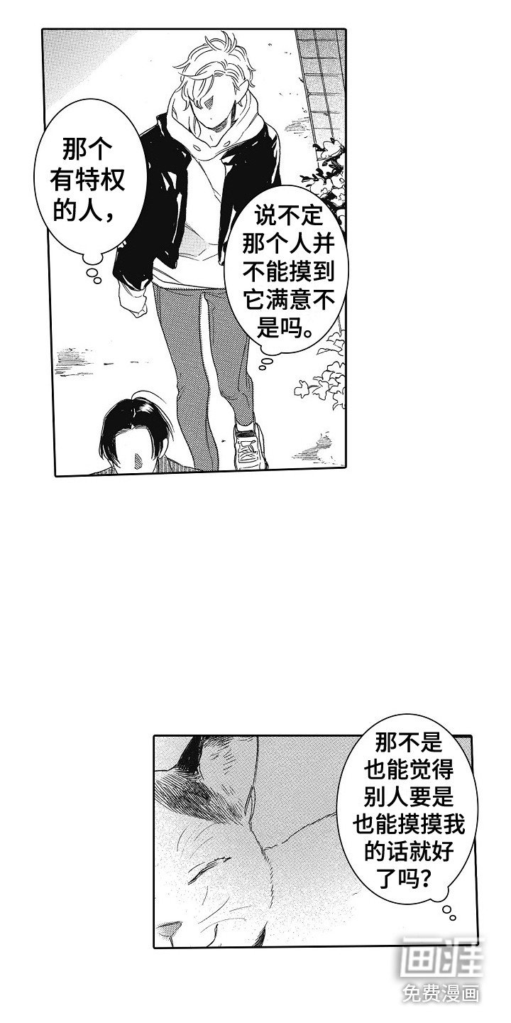 第17章：特权