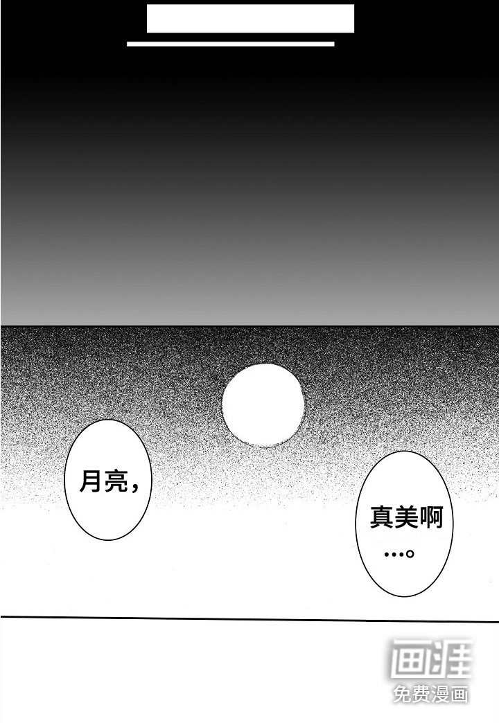 第24章：理由 