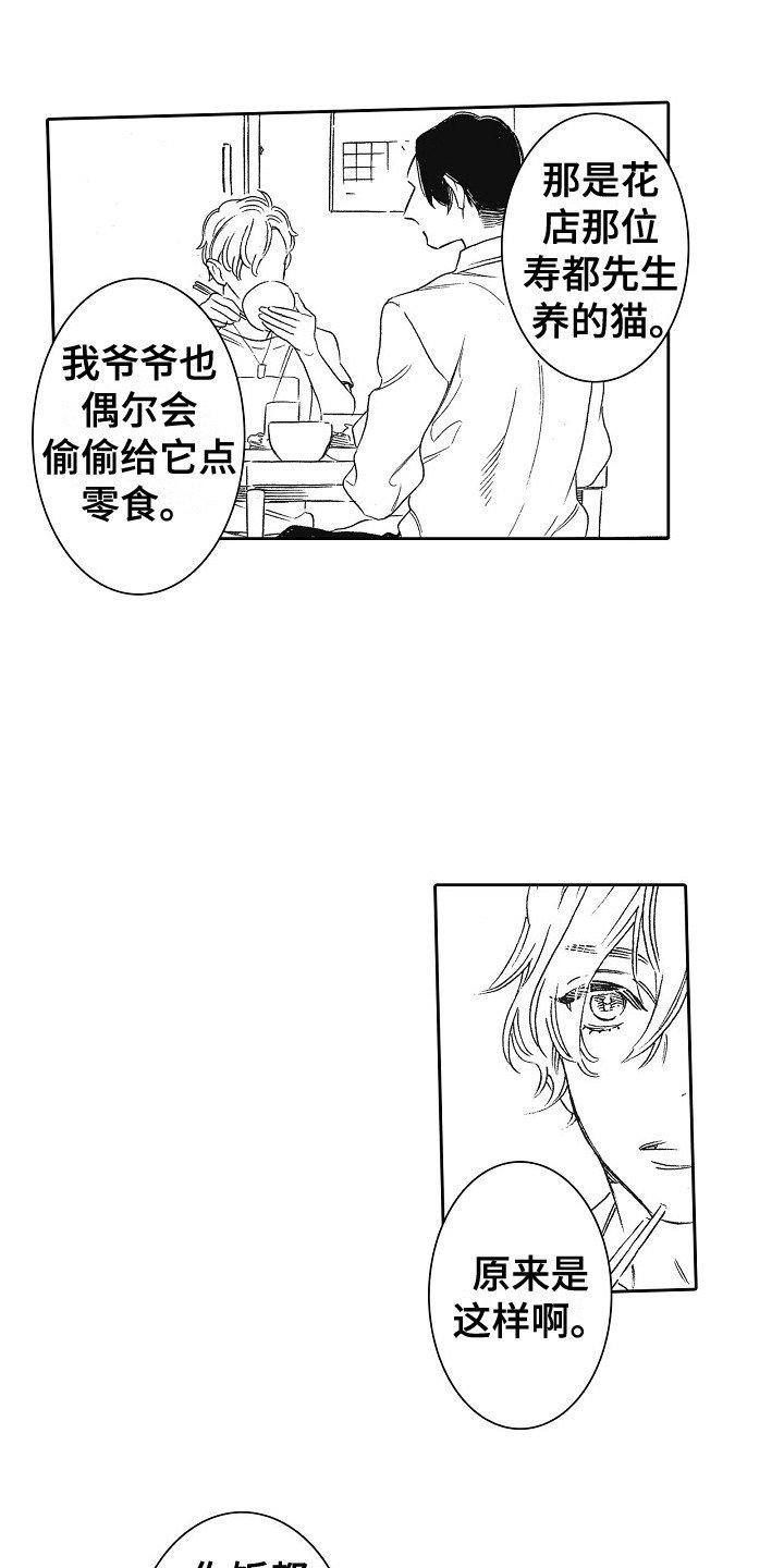 第3章：拱廊