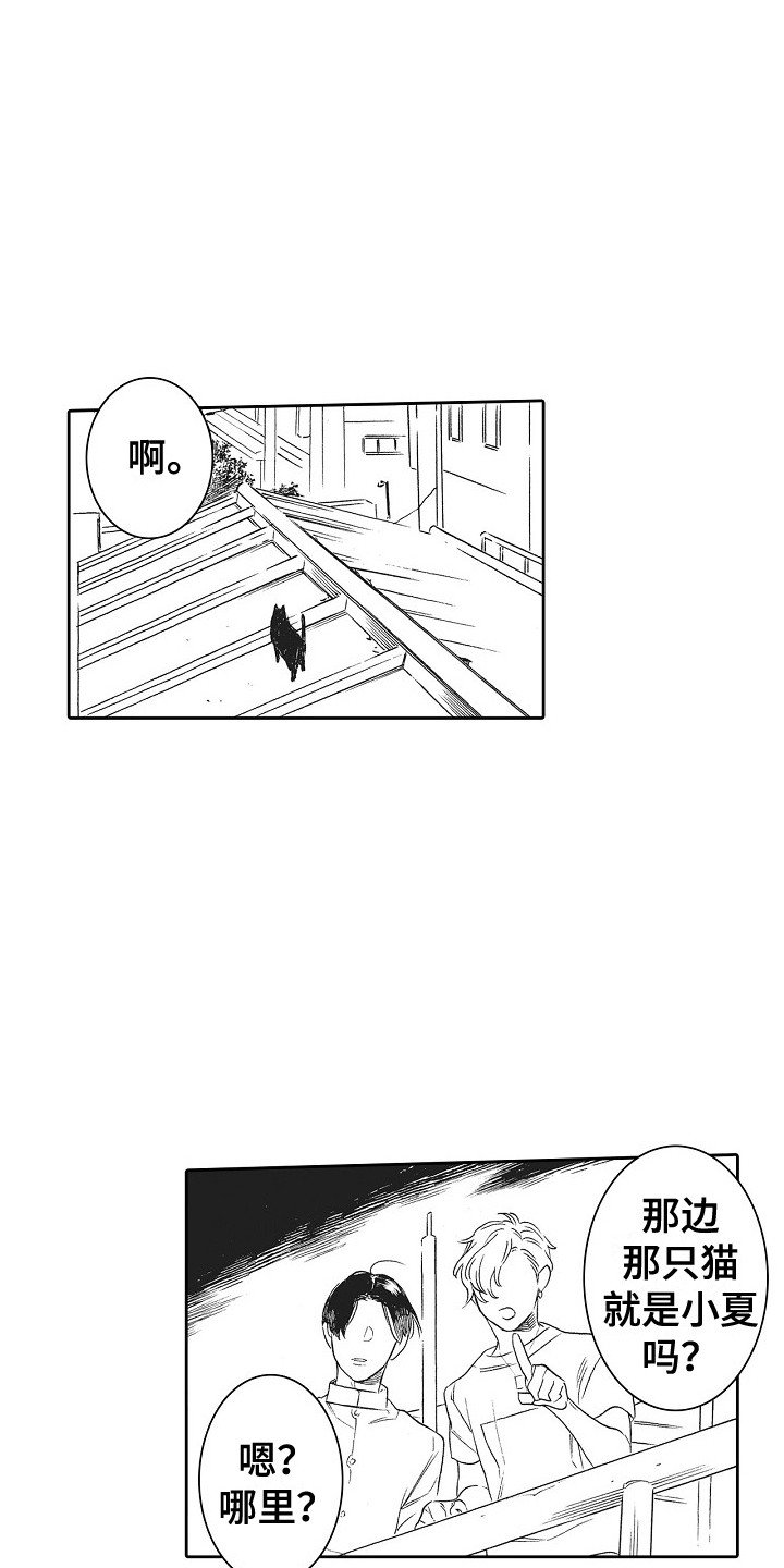 第3章：拱廊