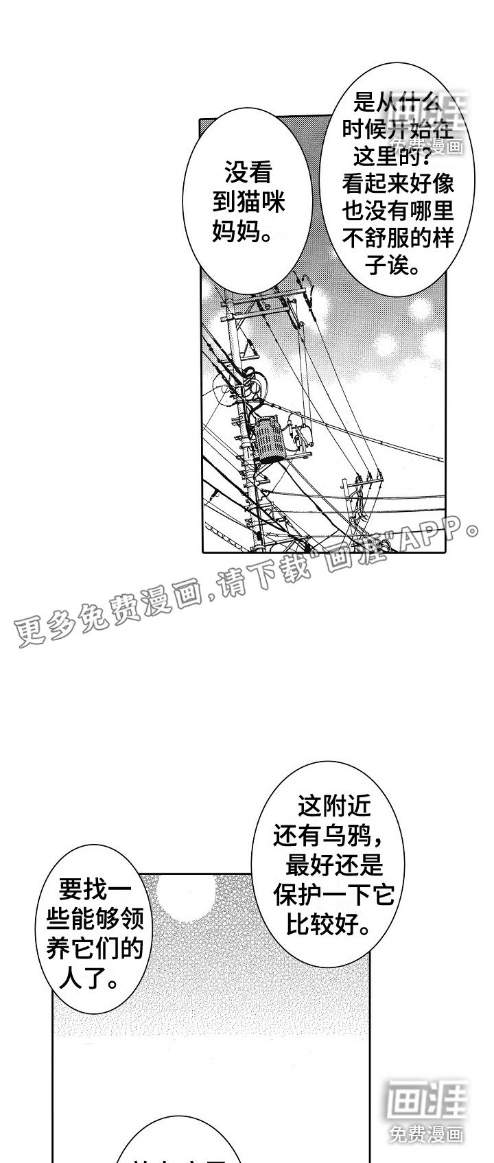 第30章：猫咪 （完结）