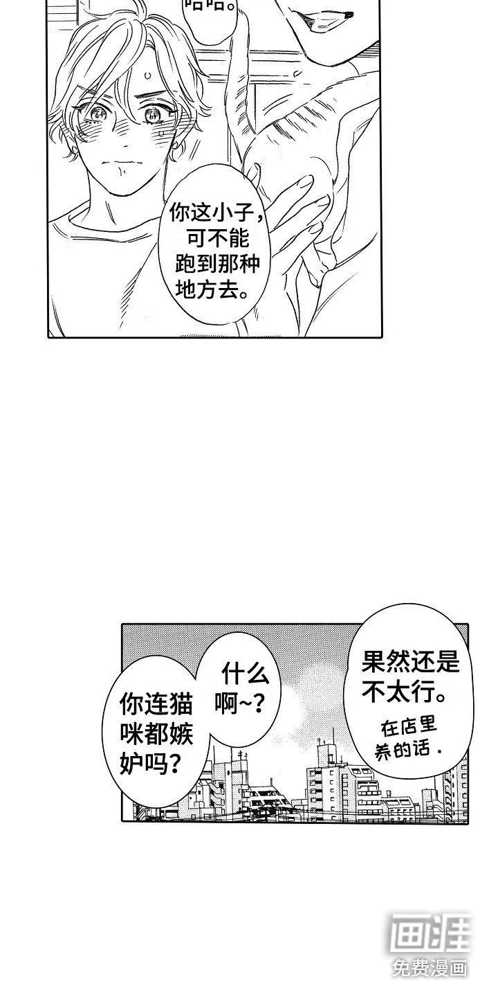 第30章：猫咪 （完结）