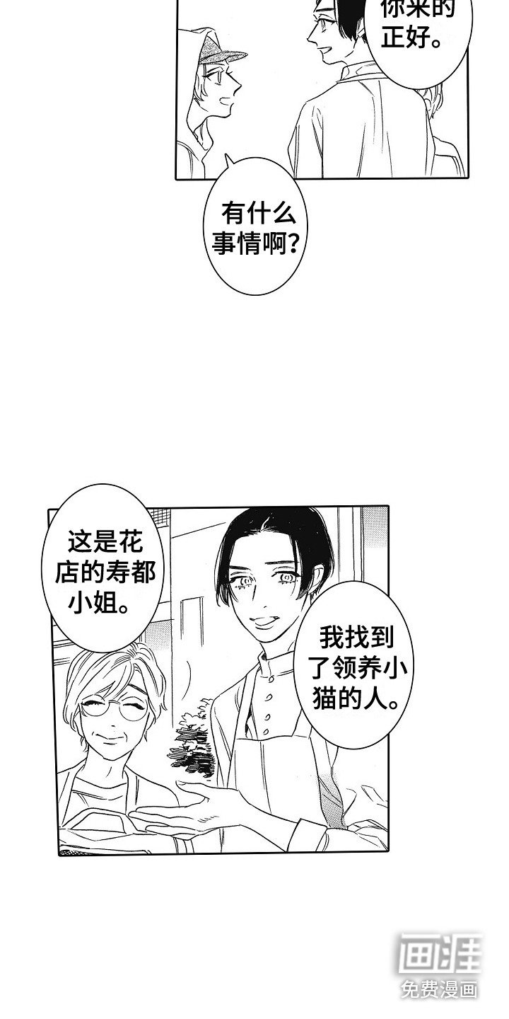 第30章：猫咪 （完结）