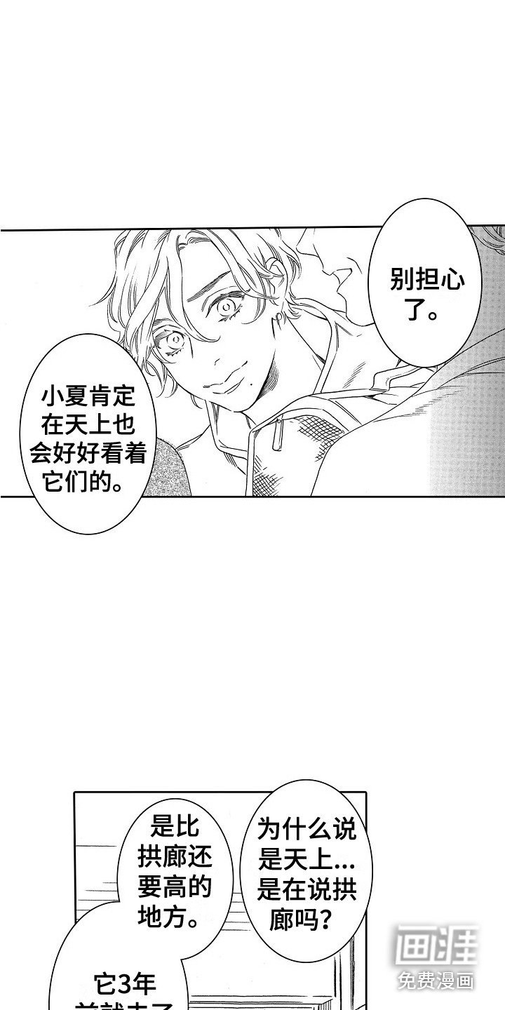 第30章：猫咪 （完结）