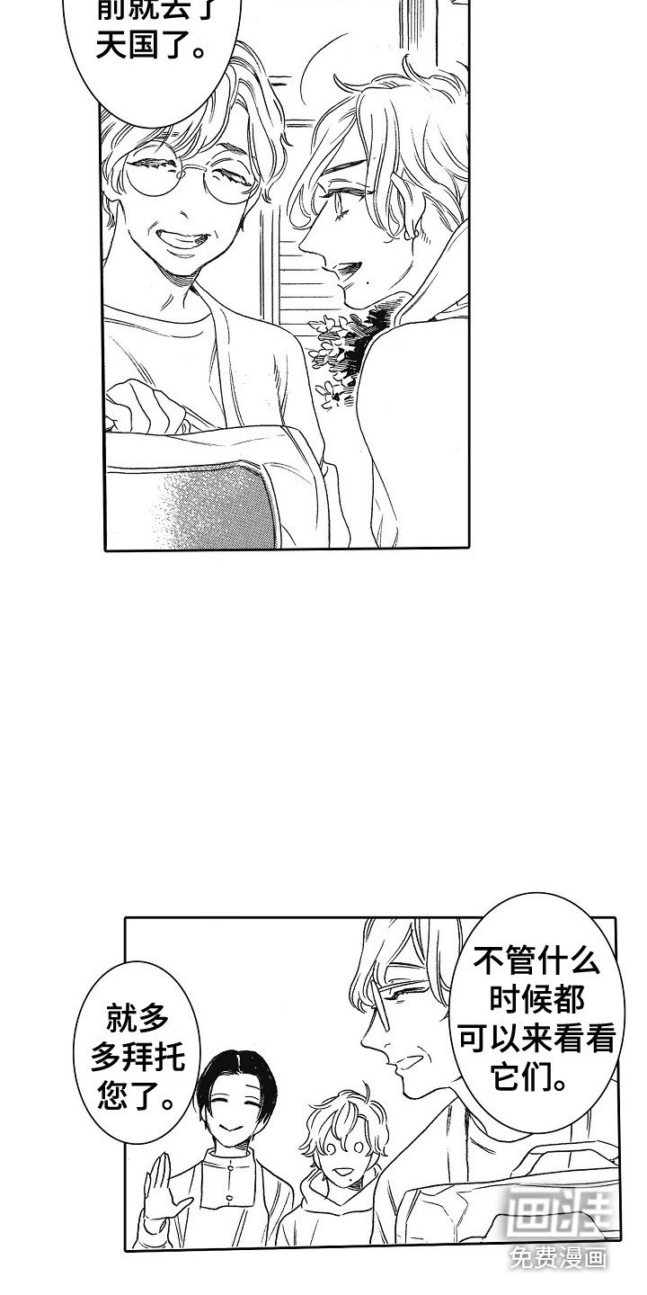 第30章：猫咪 （完结）