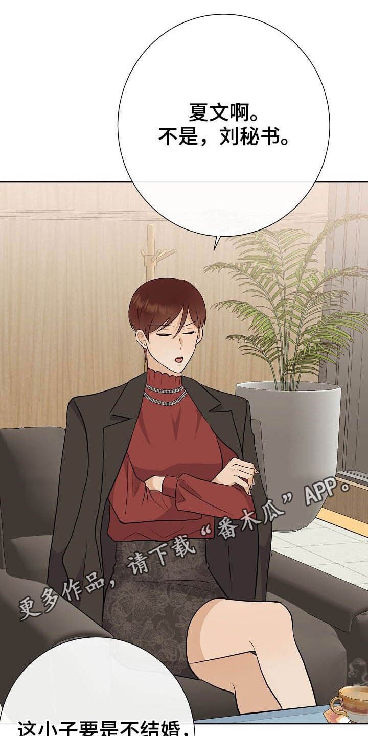 第28章：乔装
