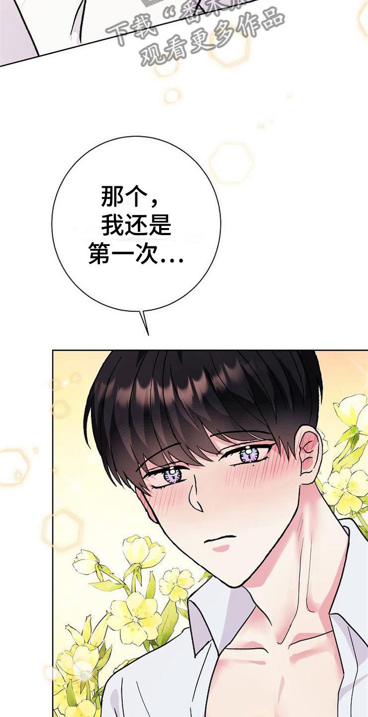 第4章：挑衅