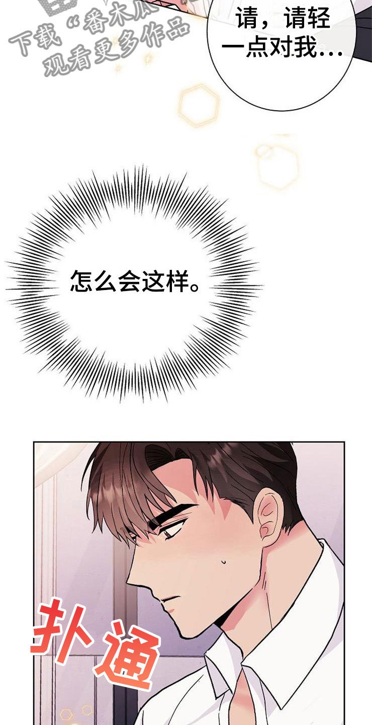 第4章：挑衅