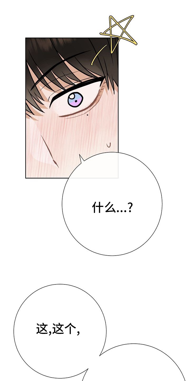 第44章：挡箭牌
