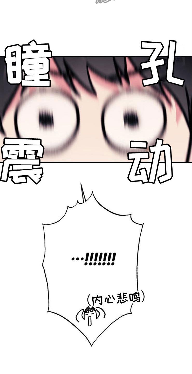第5章：影射