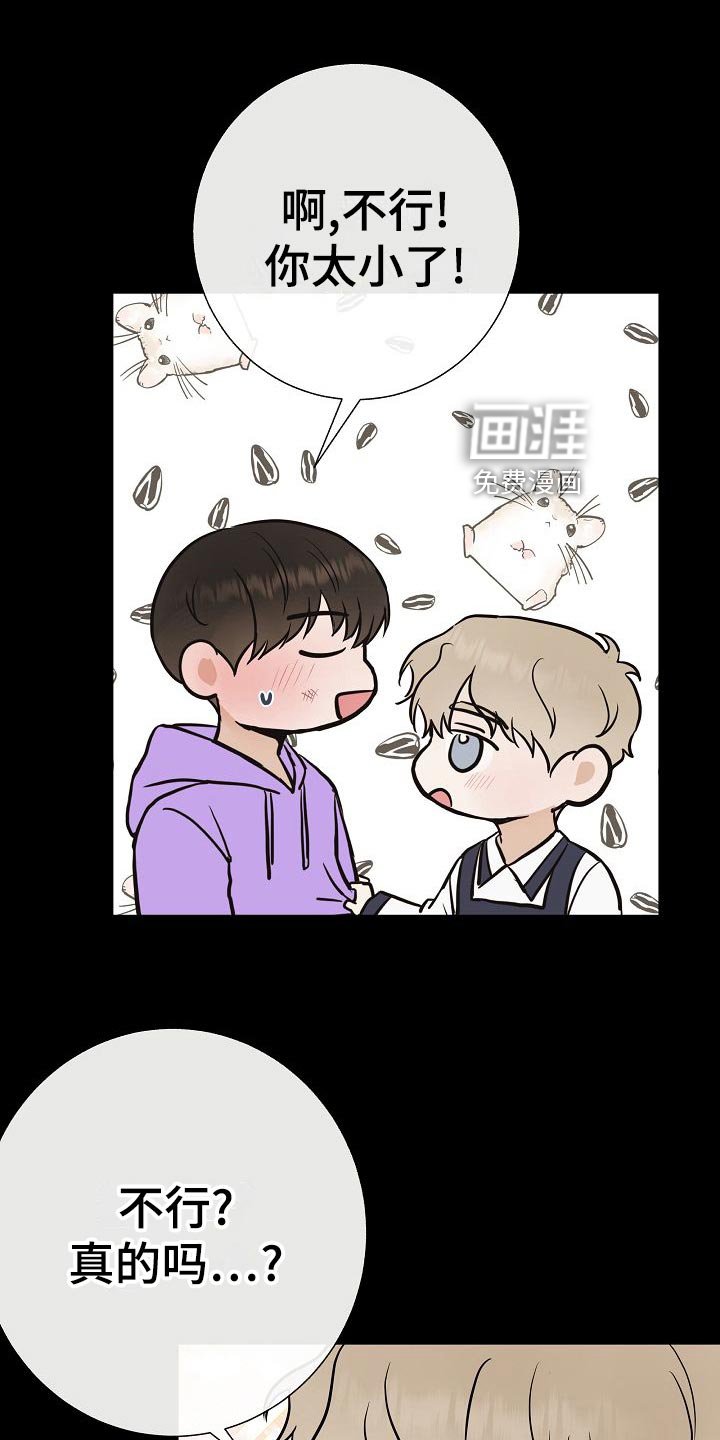 第62章：证明