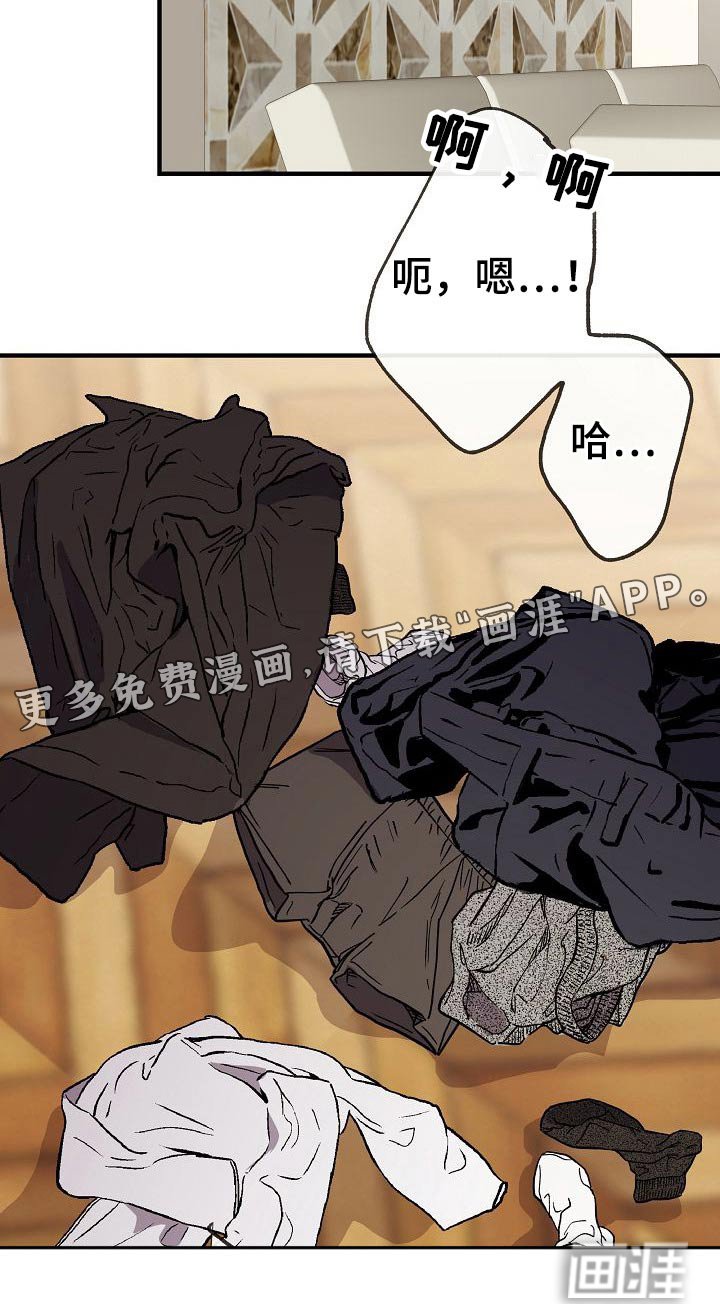 第77章：【第一季番外】幸福