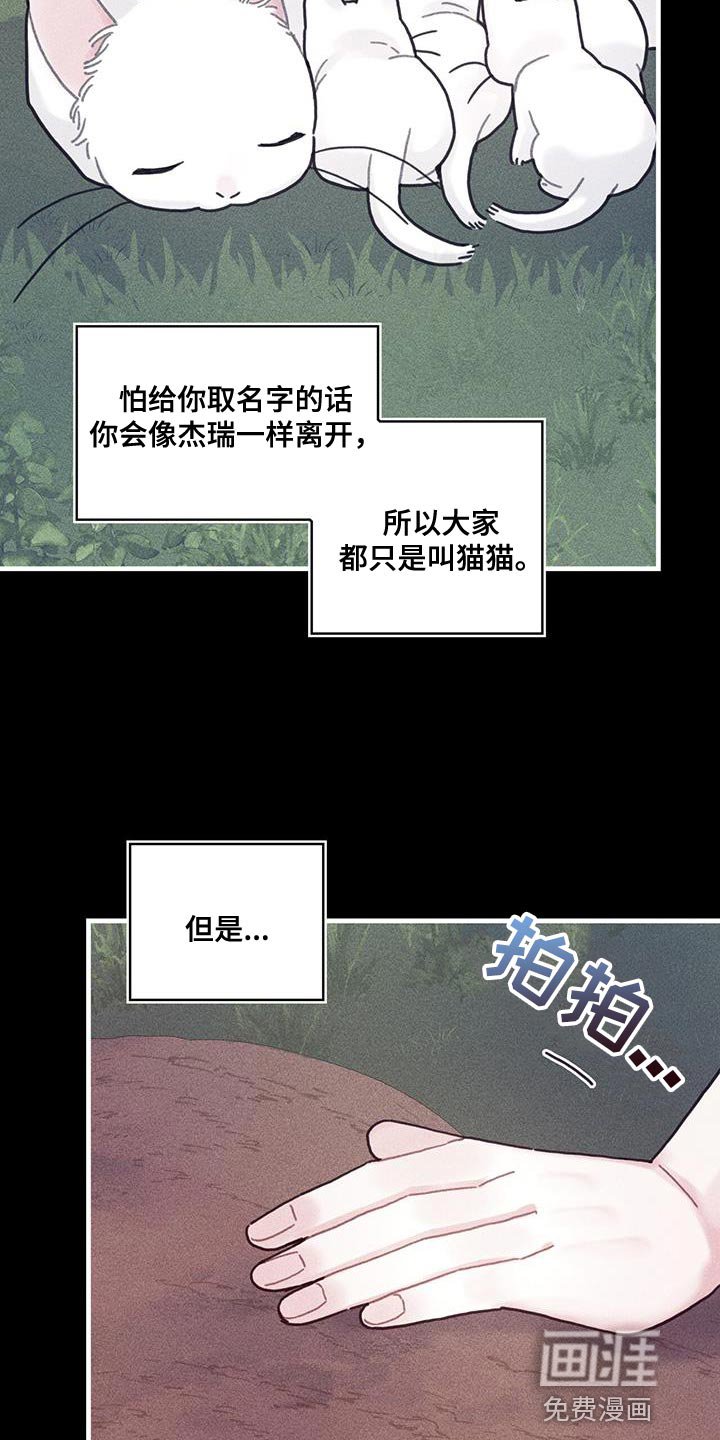 第100章：我醒悟了