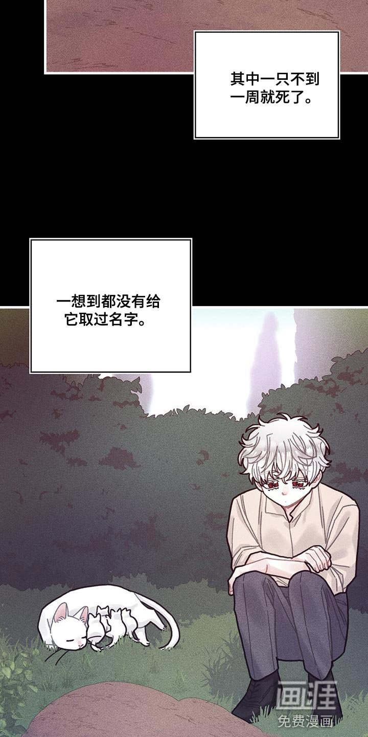第100章：我醒悟了