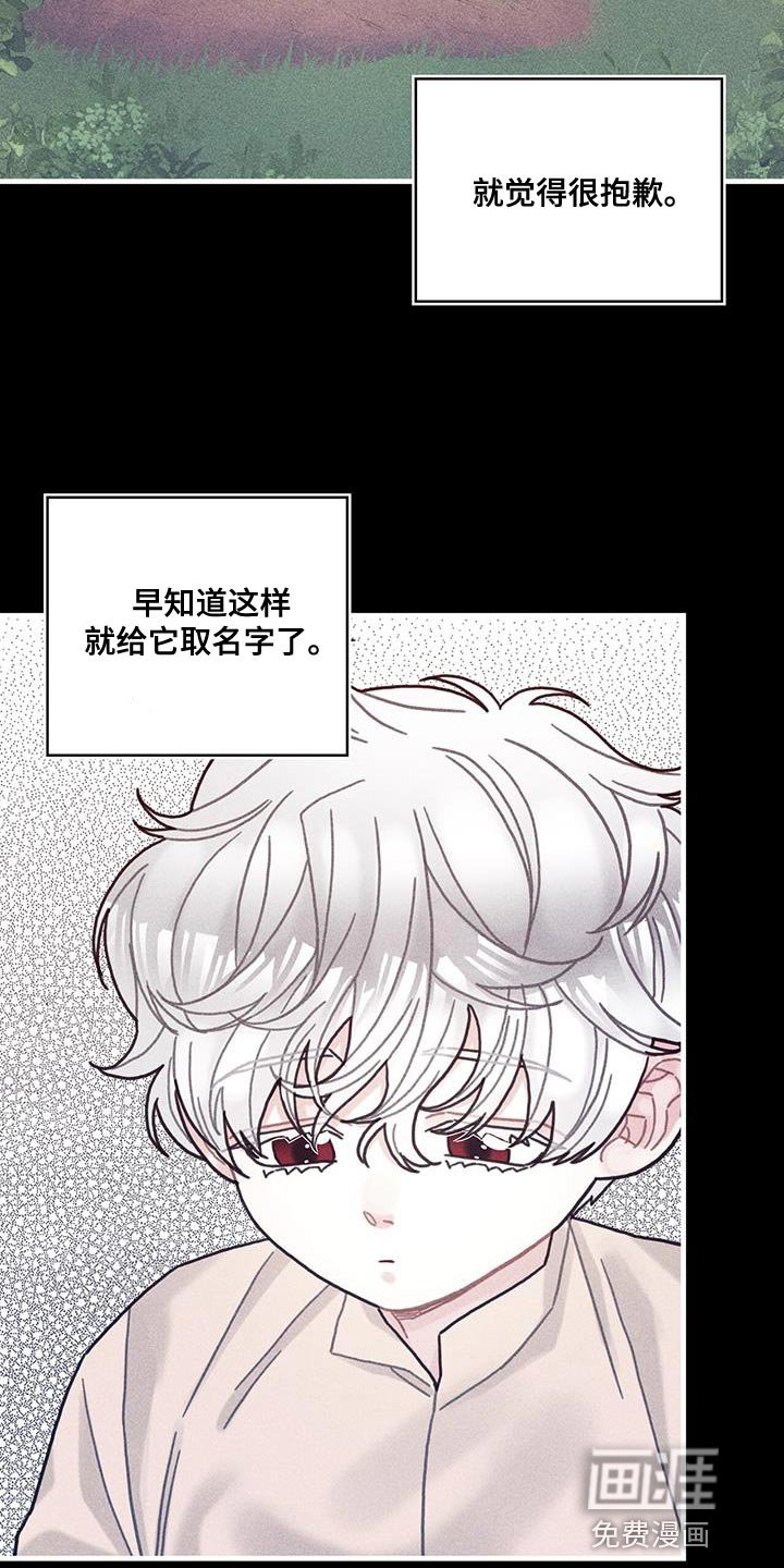 第100章：我醒悟了