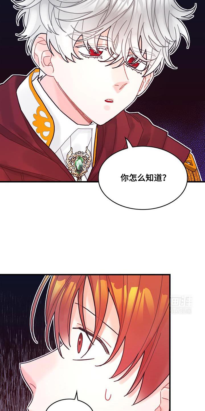 第113章：【第二季】不要做奇怪的事