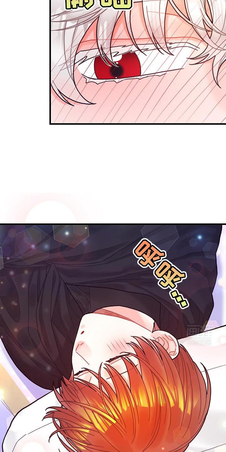 第137章：【第二季】爱情秘药