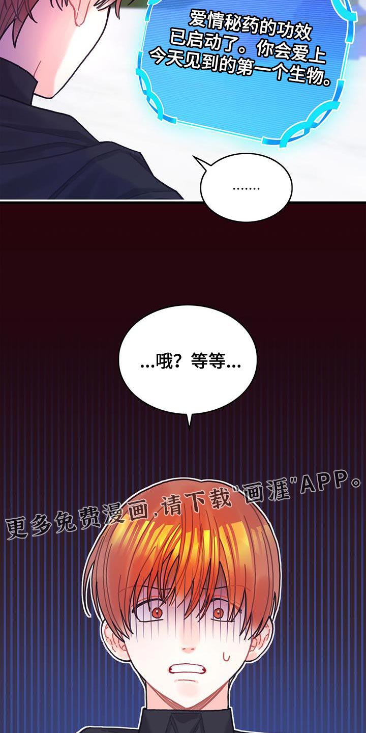 第137章：【第二季】爱情秘药