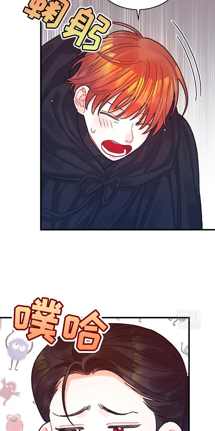 第141章：【第二季】胸针不见了