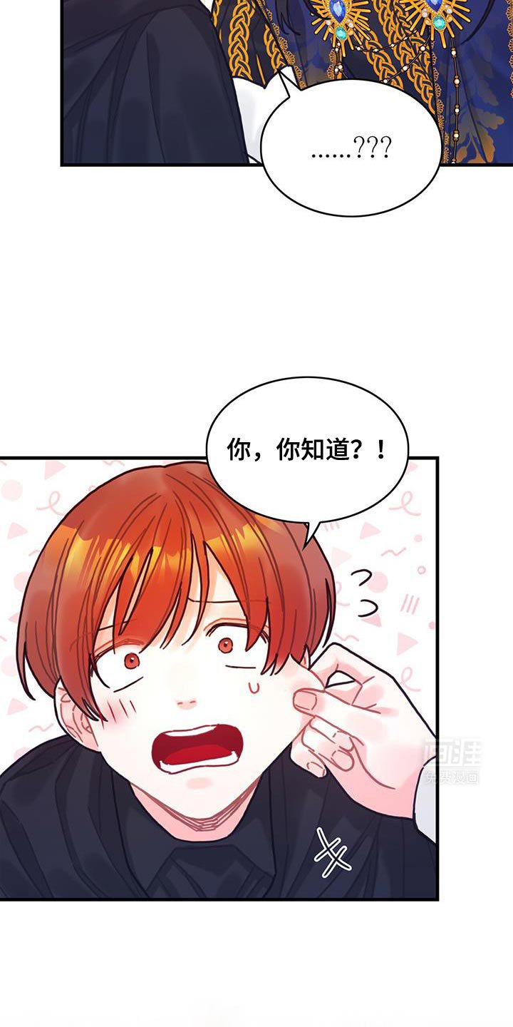 第141章：【第二季】胸针不见了