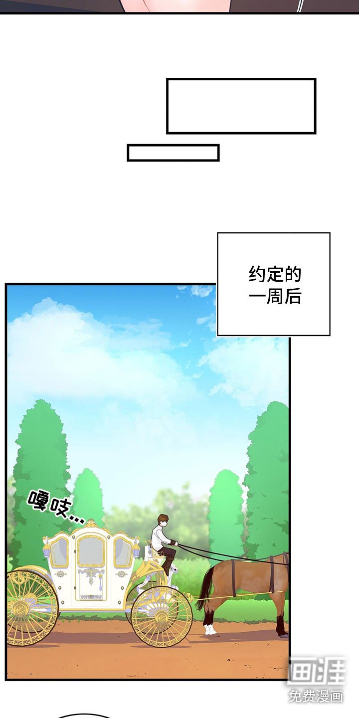 第19章：学习