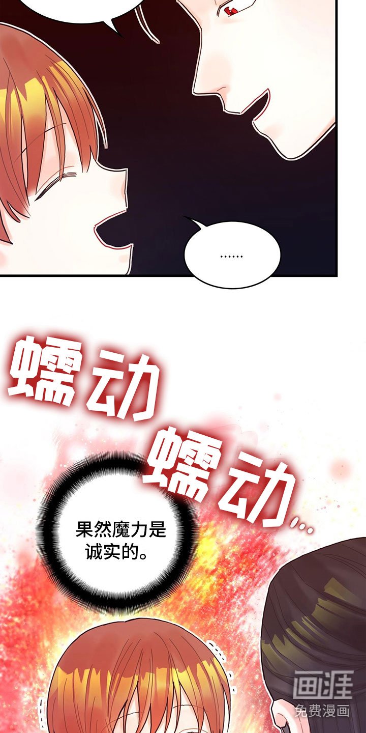第19章：学习