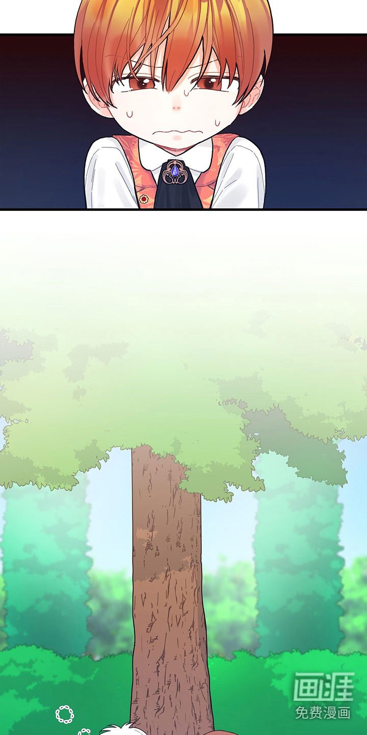 第19章：学习
