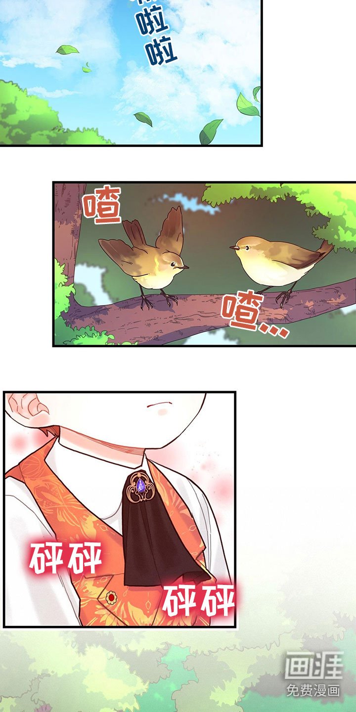 第20章：感知魔力