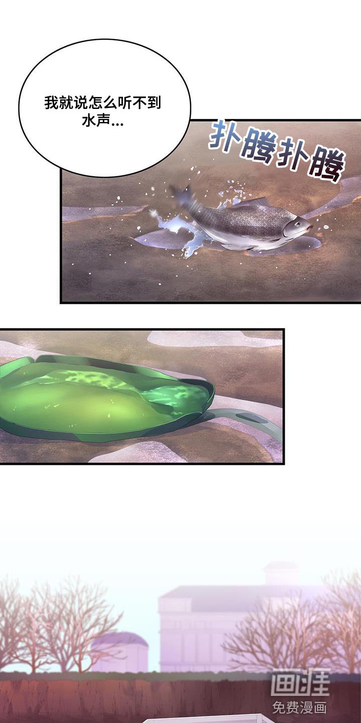 第42章：变成猫