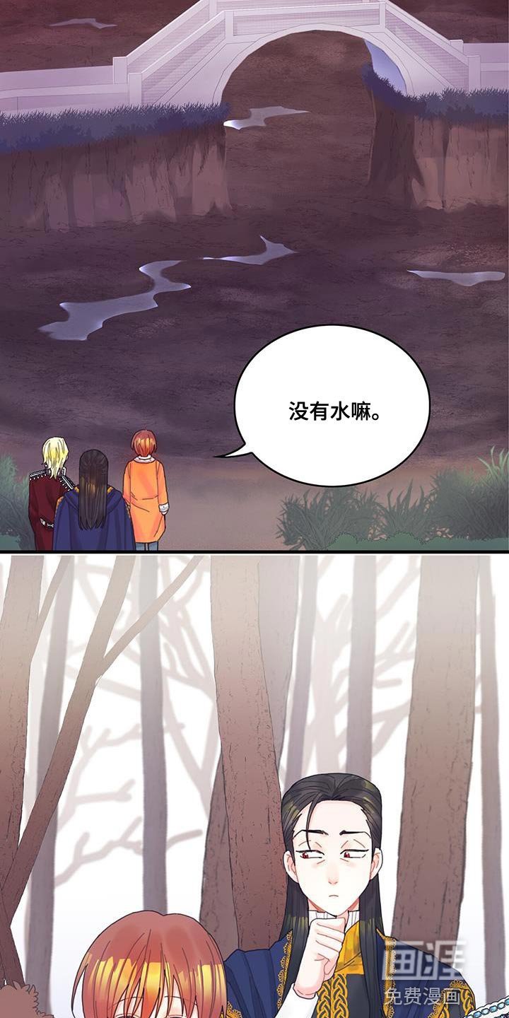 第42章：变成猫
