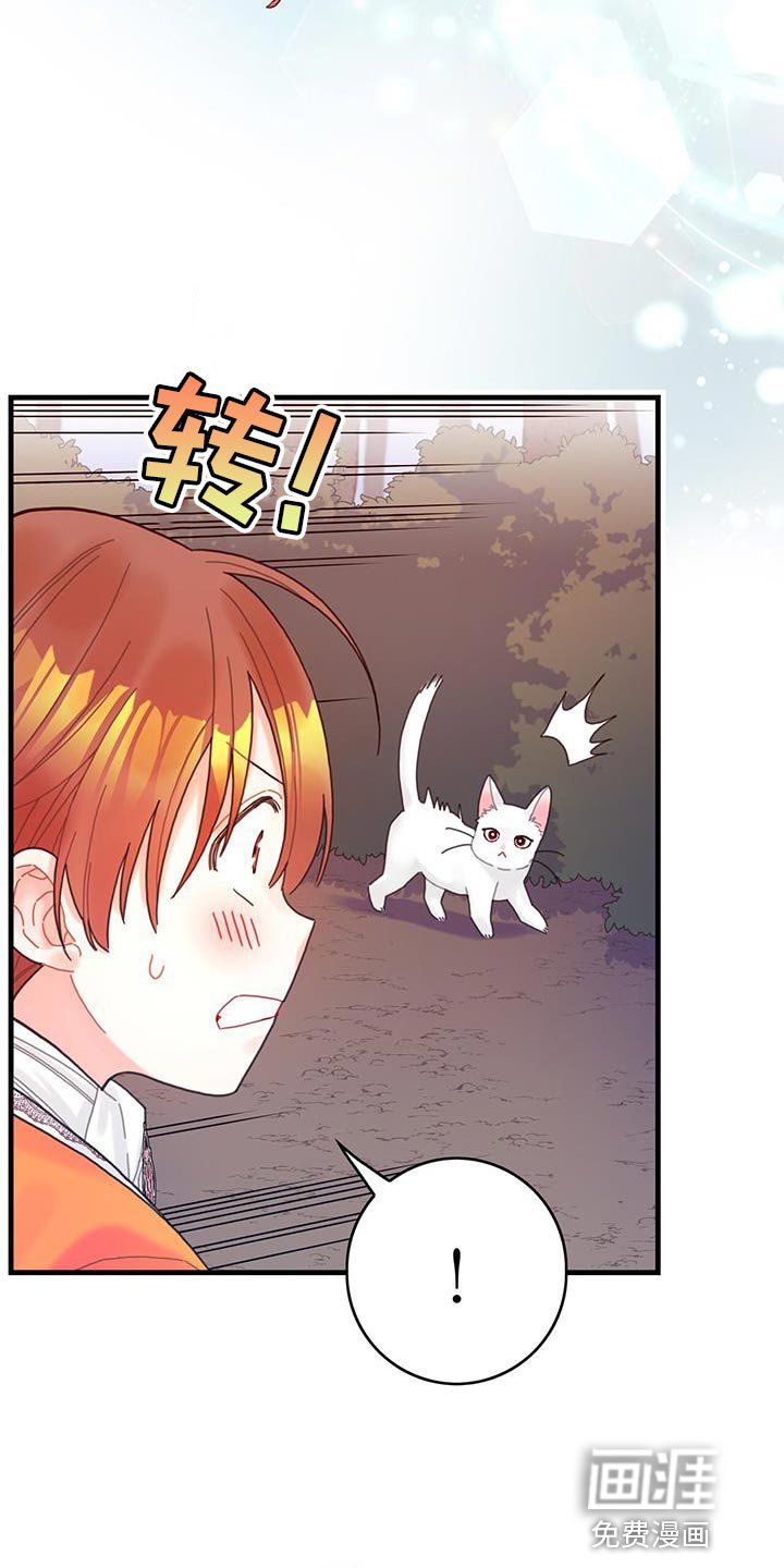 第42章：变成猫